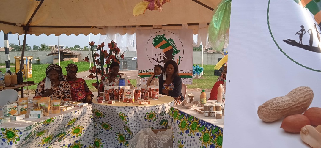 Accès à l’Écosystème Entrepreneurial